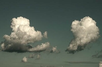 Cloud ERP: Is It Right For You?