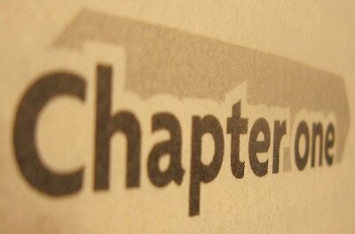 chapter one erp image