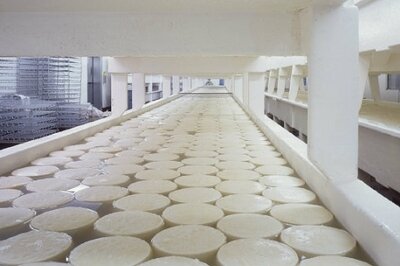process manufacturing ERP - CHEESE